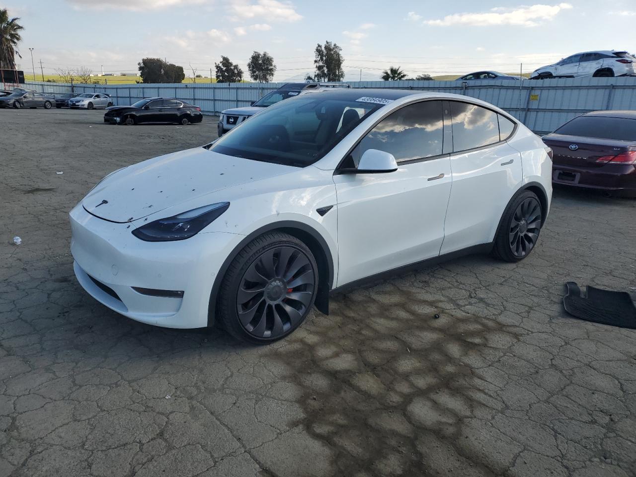 2022 TESLA MODEL Y  VIN:7SAYGDEF1NF342071