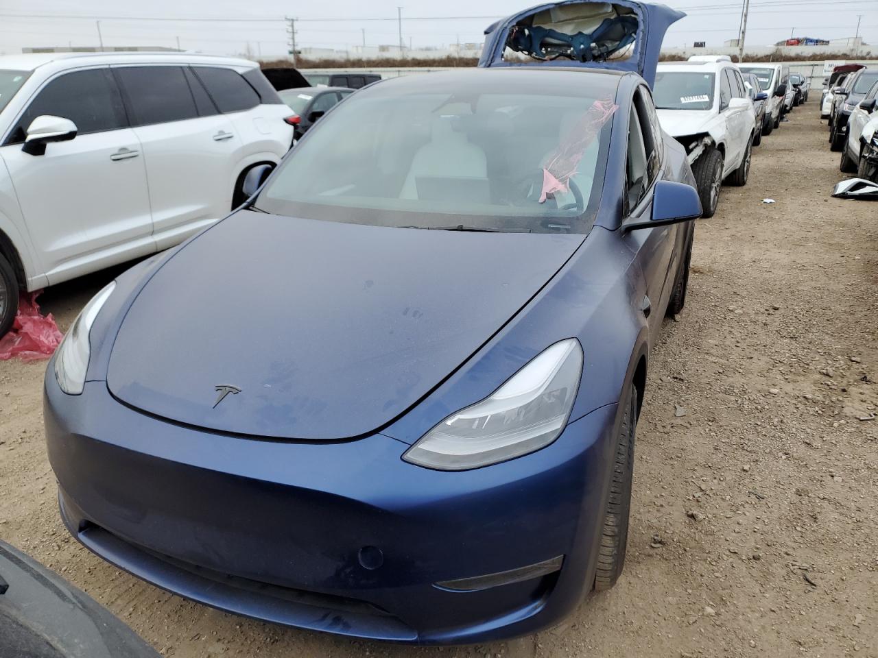 2023 TESLA MODEL Y  VIN:7SAYGDEFXPF852079