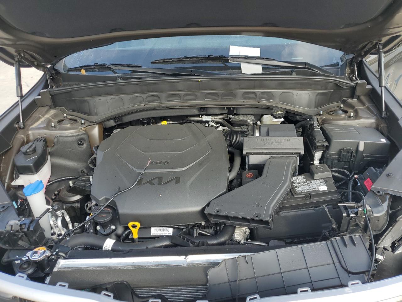 2024 KIA TELLURIDE S VIN:5XYP64GC0RG557762