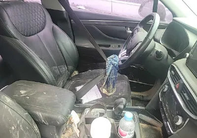 2019 Hyundai Santa FE KMHS281CBKU073882 VIN:KMHS281CBKU073882