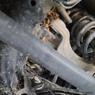 2021 BMW X4 M WBSUJ010XM9F16036 VIN:WBSUJ010XM9F16036