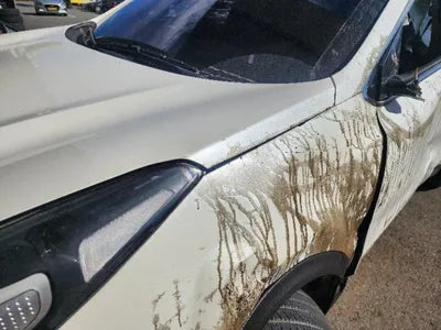 2017 Kia Sportage VIN: