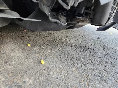 2014 Ford Focus VIN: