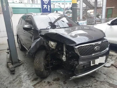 2016 Kia Sorento KNAPS81ABGA263192 VIN:KNAPS81ABGA263192