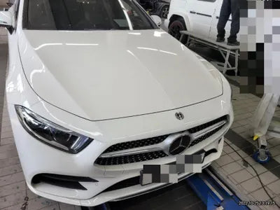 2019 Mercedes-Benz CLS 450 WDD2J5KB7KA039026 VIN:WDD2J5KB7KA039026
