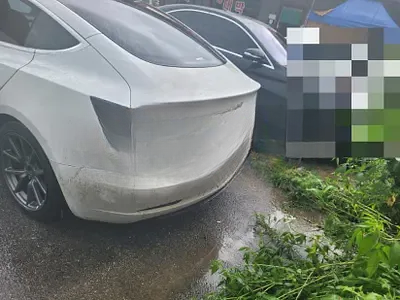 2020 Tesla Model 3 NONE VIN: