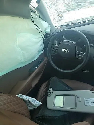 2019 Kia Sorento KNAPH81BBLA612488 VIN:KNAPH81BBLA612488