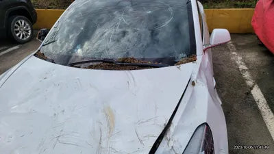 2020 Tesla Model 3 VIN: