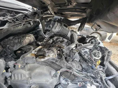 2020 Hyundai Kona KMHK4815HLU534100 VIN:KMHK4815HLU534100