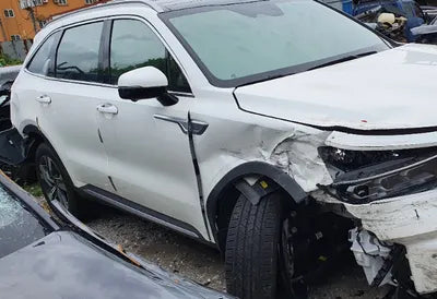 2021 Kia Sorento KNARG81GBMA002202 VIN:KNARG81GBMA002202