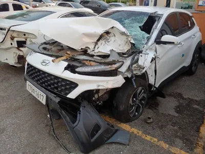 2021 Hyundai Kona KMHK281EGMU060134 VIN:KMHK281EGMU060134