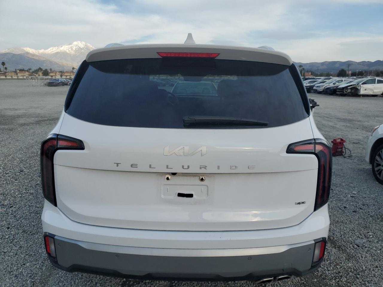 2024 KIA TELLURIDE SX VIN:5XYP5DGC2RG412872