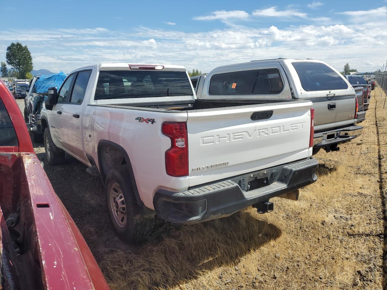 2023 CHEVROLET SILVERADO K2500 HEAVY DUTY VIN:1HGCR2F15HA291486