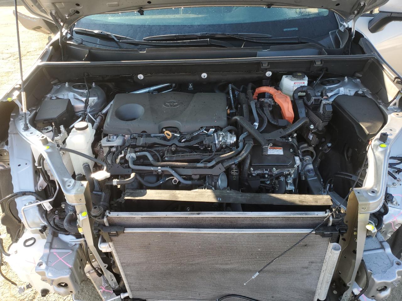 2024 TOYOTA RAV4 XLE VIN:2T3RWRFV3RW203079