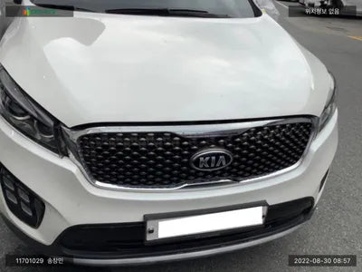 2016 Kia Sorento KNAPS81ABHA279231 VIN:KNAPS81ABHA279231