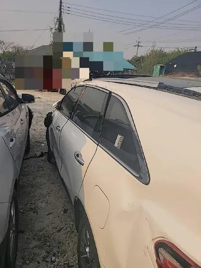 2019 Kia Sorento KNAPH81BBLA612488 VIN:KNAPH81BBLA612488
