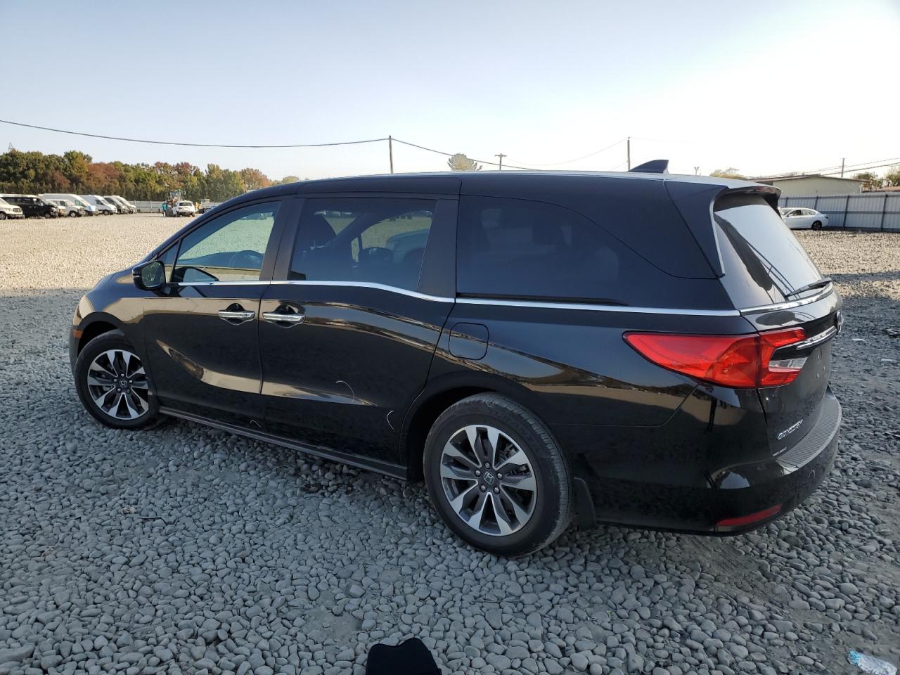 2024 HONDA ODYSSEY EXL VIN:5FNRL6H61RB056117