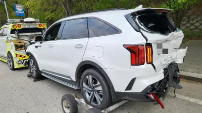 2022 Kia Sorento KNARL81GBNA106902 VIN:KNARL81GBNA106902