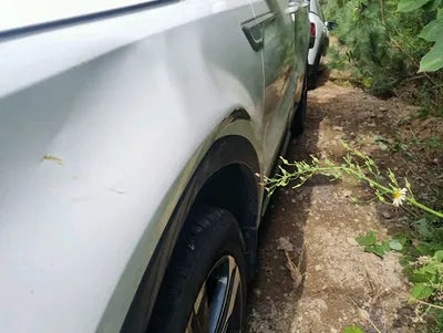 2021 Kia Sorento KNARK81GDMA000615 VIN:KNARK81GDMA000615