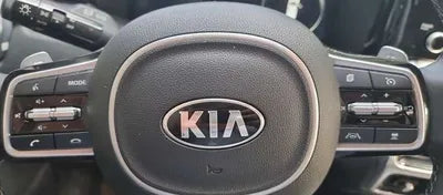 2020 Kia Sorento KNARG81BHMA001830 VIN:KNARG81BHMA001830