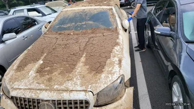 2019 Mercedes-Benz E 220 WDD1K1EB0KF115623 VIN:WDD1K1EB0KF115623