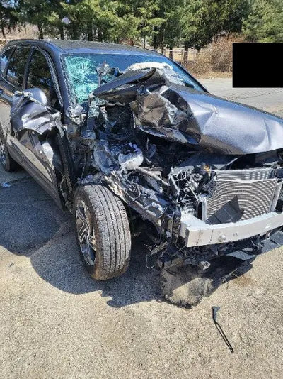 2021 Hyundai Santa FE KMHS281HHMU324774 VIN:KMHS281HHMU324774