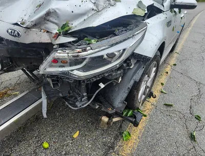 2020 Kia K5 KNAGT416BLA374613 VIN:KNAGT416BLA374613
