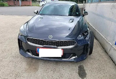 2018 Kia Stinger KNAE751CBJS001879 VIN:KNAE751CBJS001879
