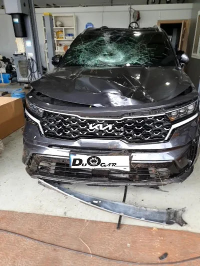 2022 Kia Sorento KNARF81BGNA134251 VIN:KNARF81BGNA134251