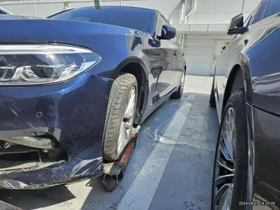 2020 BMW 520 WBAJF310XLWW54506 VIN:WBAJF310XLWW54506