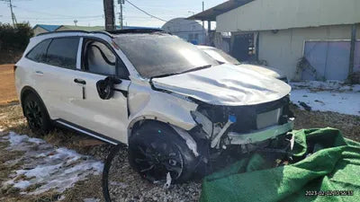 2023 Kia Sorento KNARJ81FGPA201460 VIN:KNARJ81FGPA201460