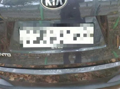 2017 Kia Sorento KNAPS81ABHA369867 VIN:KNAPS81ABHA369867