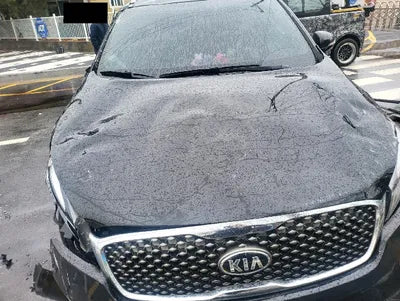 2017 Kia Sorento 051KMKNAPS81ABHA3 VIN:051KMKNAPS81ABHA3