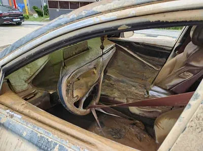 2021 Genesis G80 NONE VIN: