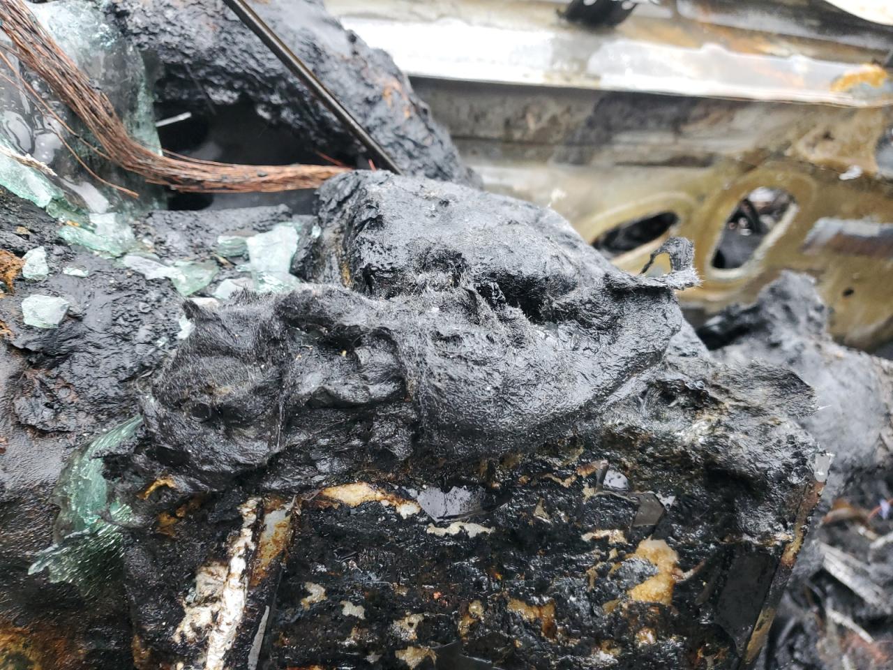 2023 CHEVROLET BOLT EUV LT VIN:1G1FY6S02P4207603