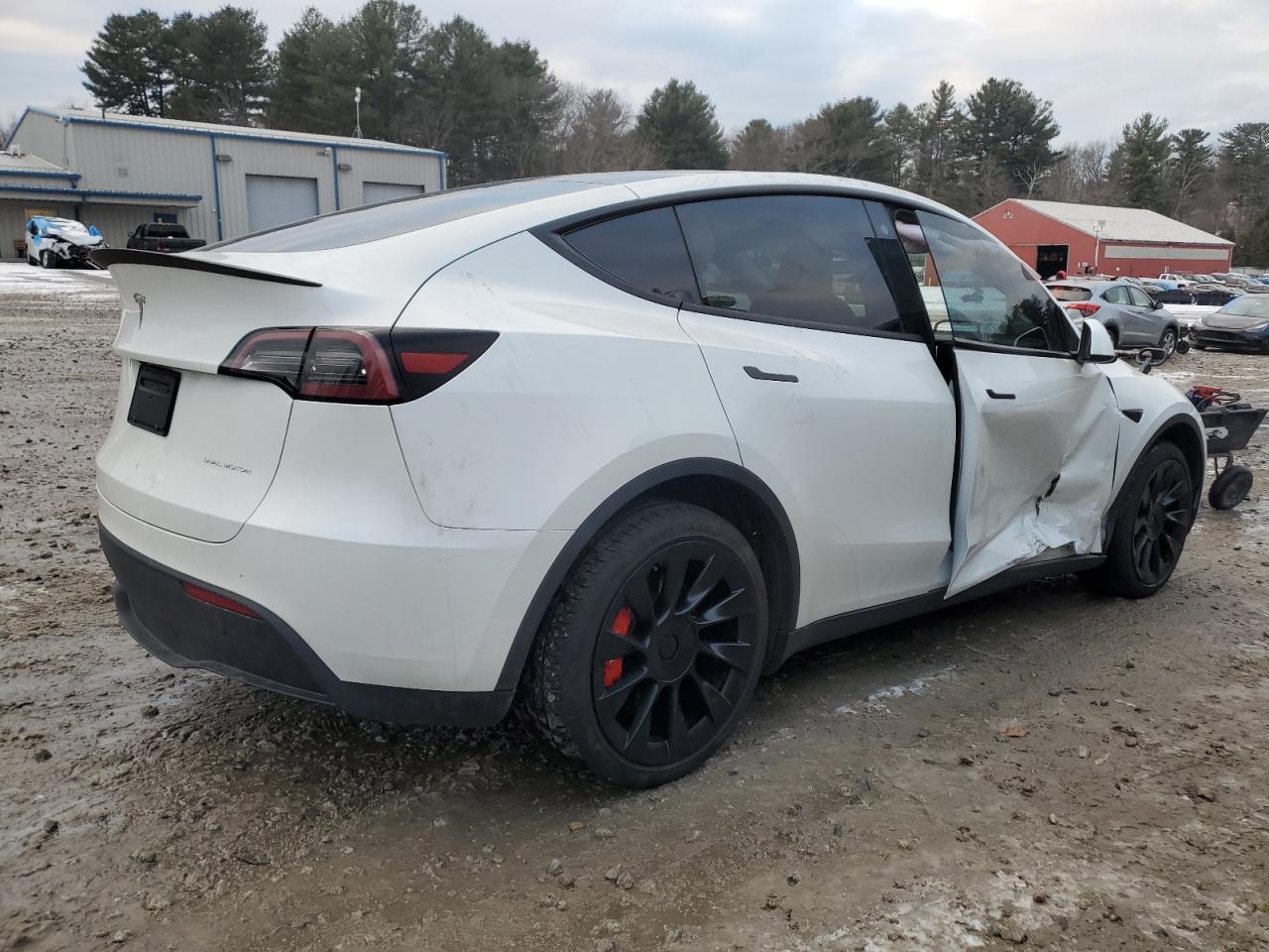 2023 TESLA MODEL Y  VIN:7SAYGDEE1PF675929