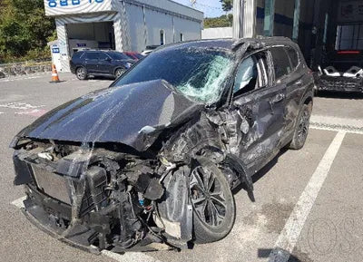 2019 Hyundai Santa FE KMHS381BDKU173046 VIN:KMHS381BDKU173046
