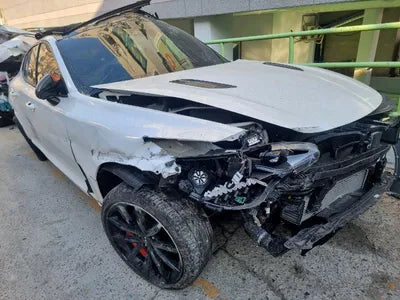 2023 Kia Stinger KNAE551CBPS125163 VIN:KNAE551CBPS125163