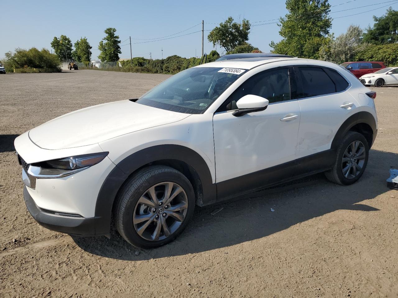 2023 MAZDA CX-30 PREMIUM VIN:3MVDMBDM8PM514859