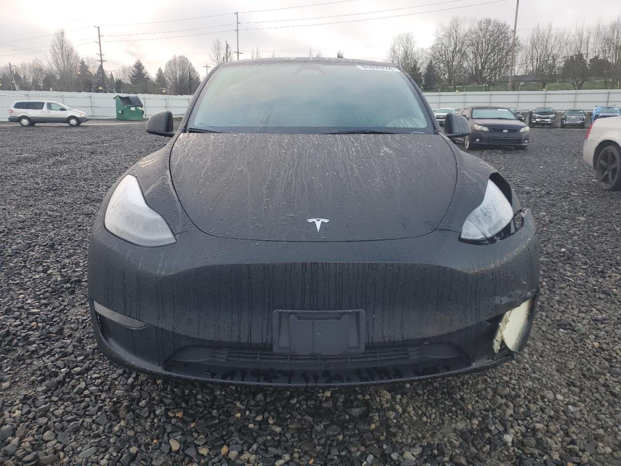 2023 TESLA MODEL Y  VIN:7SAYGDEE7PF811741