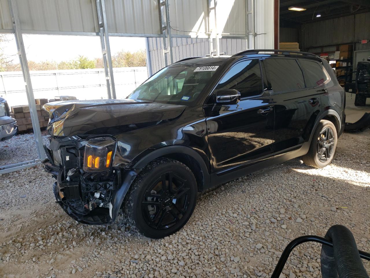 2024 KIA TELLURIDE SX VIN:5XYP5DGC9RG474012