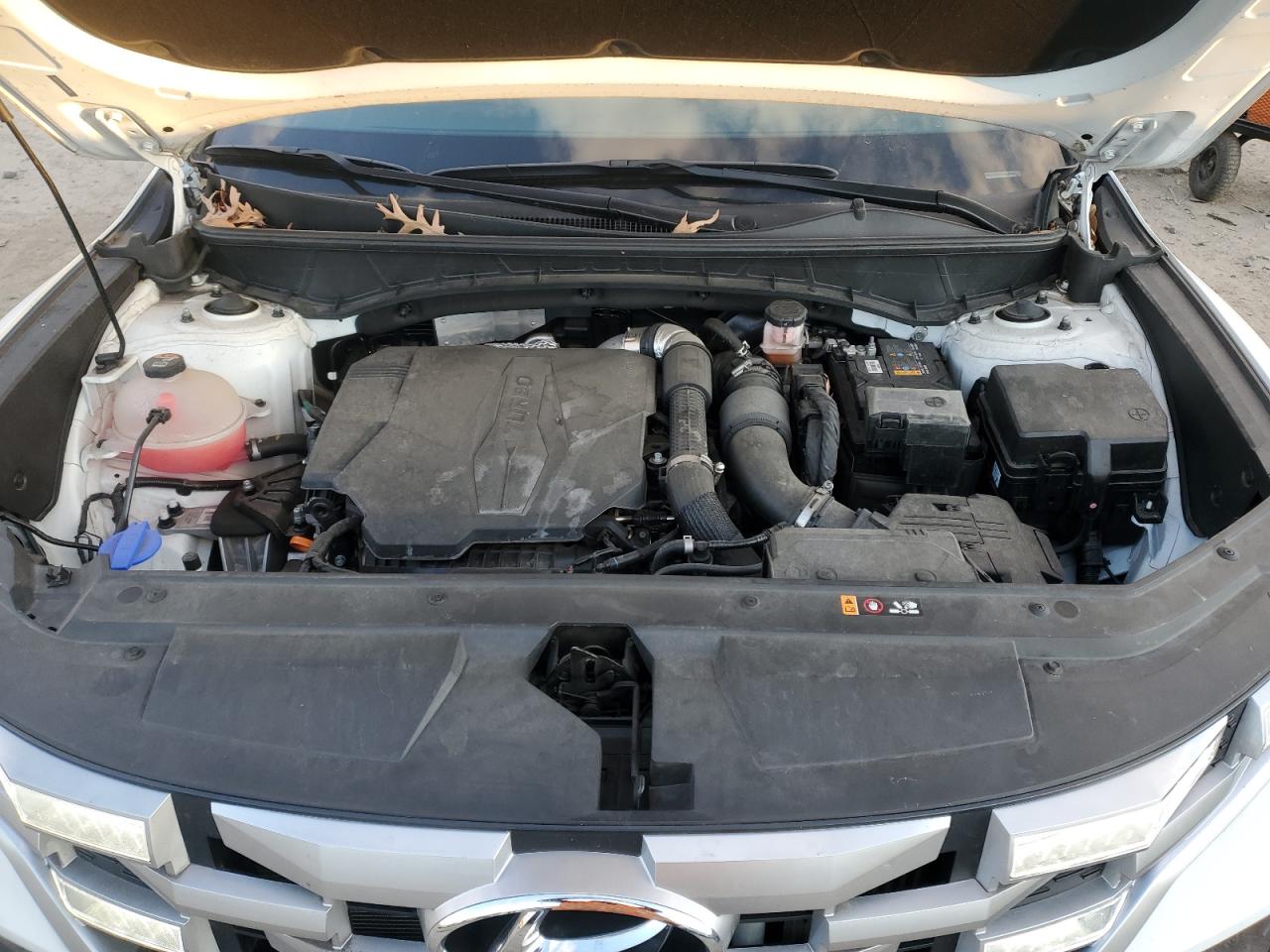 2022 HYUNDAI SANTA CRUZ SEL PREMIUM VIN:5NTJDDAF2NH031913