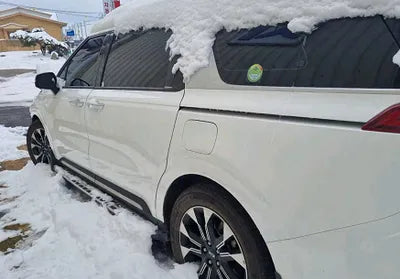 2021 Kia Carnival KNANE81BBMS017834 VIN:KNANE81BBMS017834