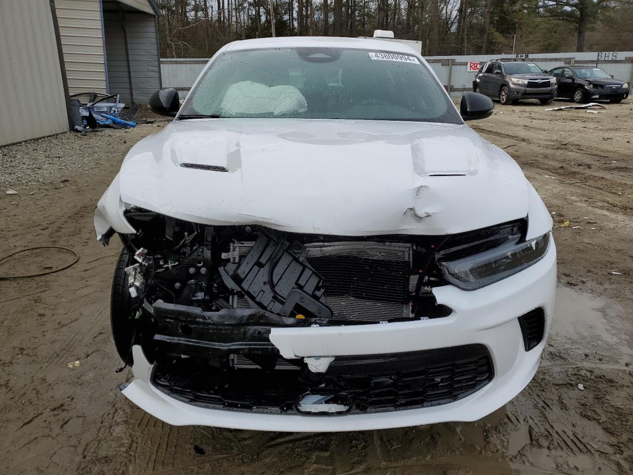 2023 DODGE HORNET GT VIN:ZACNDFAN2P3A03291