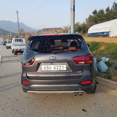 2019 Kia Sorento KNAPH81BBKA516242 VIN:KNAPH81BBKA516242