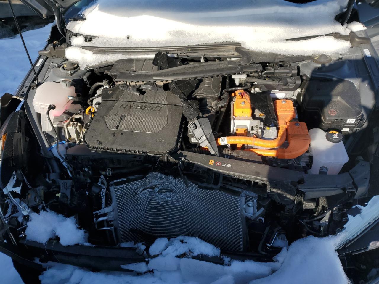 2023 HYUNDAI ELANTRA LIMITED VIN:KMHLN4AJ9PU081821