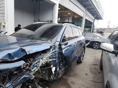 2021 Kia Sorento KNARH81GDMA027216 VIN:KNARH81GDMA027216