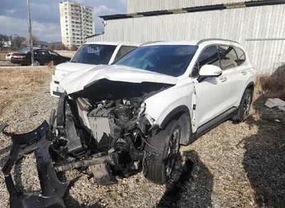 2020 Hyundai Santa FE 1KMHS381ABLU19660 VIN:1KMHS381ABLU19660