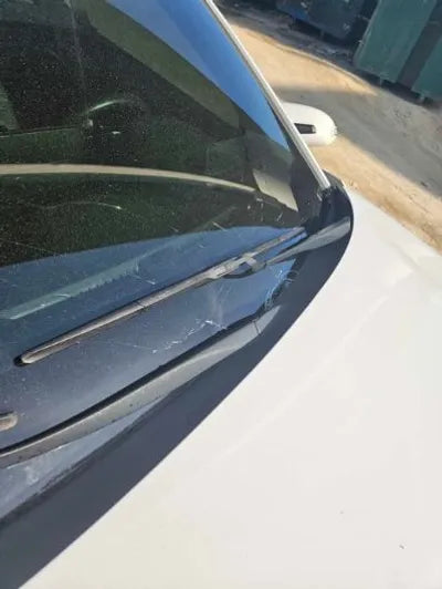 2019 Hyundai Kona KMHK281GFKU039495 VIN:KMHK281GFKU039495