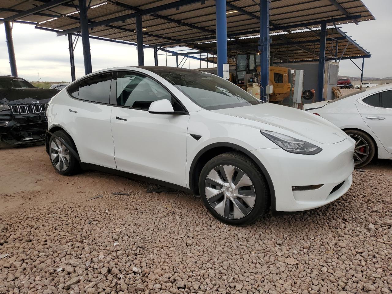 2023 TESLA MODEL Y  VIN:7SAYGAEE8PF615709